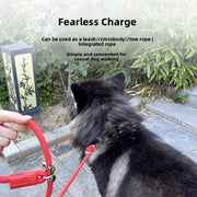 PetIT™ FreeWalk Hands-Free Leash
