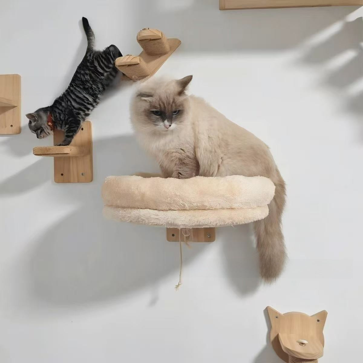 PetIT™ ClimbNest Wall-Mounted Cat House
