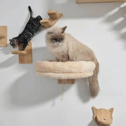 PetIT™ ClimbNest Wall-Mounted Cat House