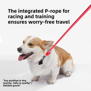 PetIT™ FreeWalk Hands-Free Leash