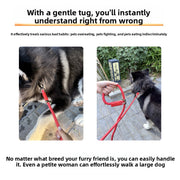 PetIT™ FreeWalk Hands-Free Leash