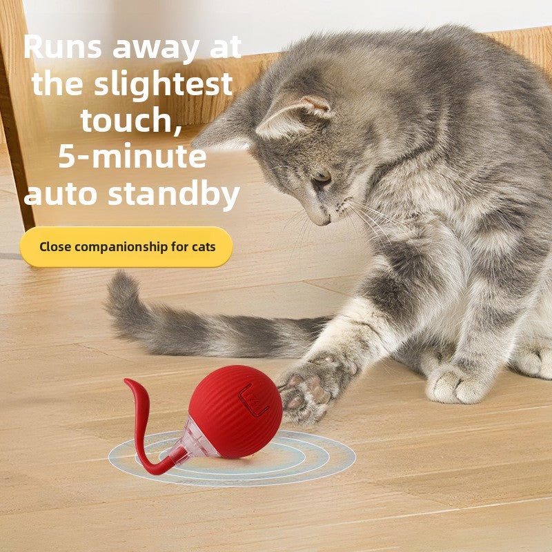 PetIT™ ChasePaw Smart Motion Ball