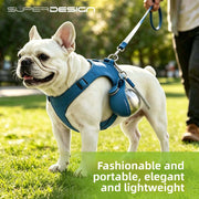 PetIT™ AquaGo Stainless Steel Pet Bottle