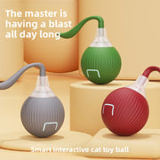 PetIT™ ChasePaw Smart Motion Ball