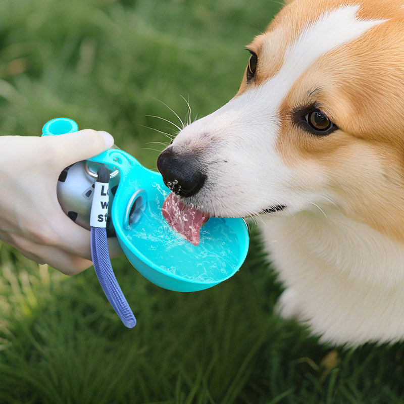 PetIT™ AquaGo Stainless Steel Pet Bottle