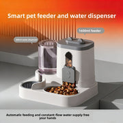 PetIT™ FeedFlow Dual Pet Dispenser